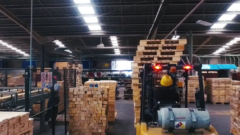 Montacargas entre tarimas de madera en la planta de LOSIFRA, video corporativo