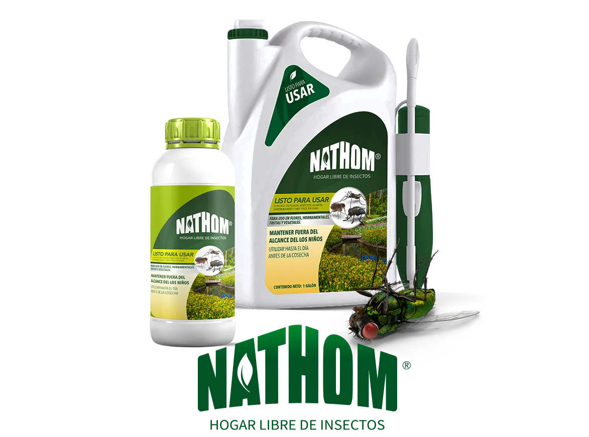 Diseño de marca y de producto Nathom