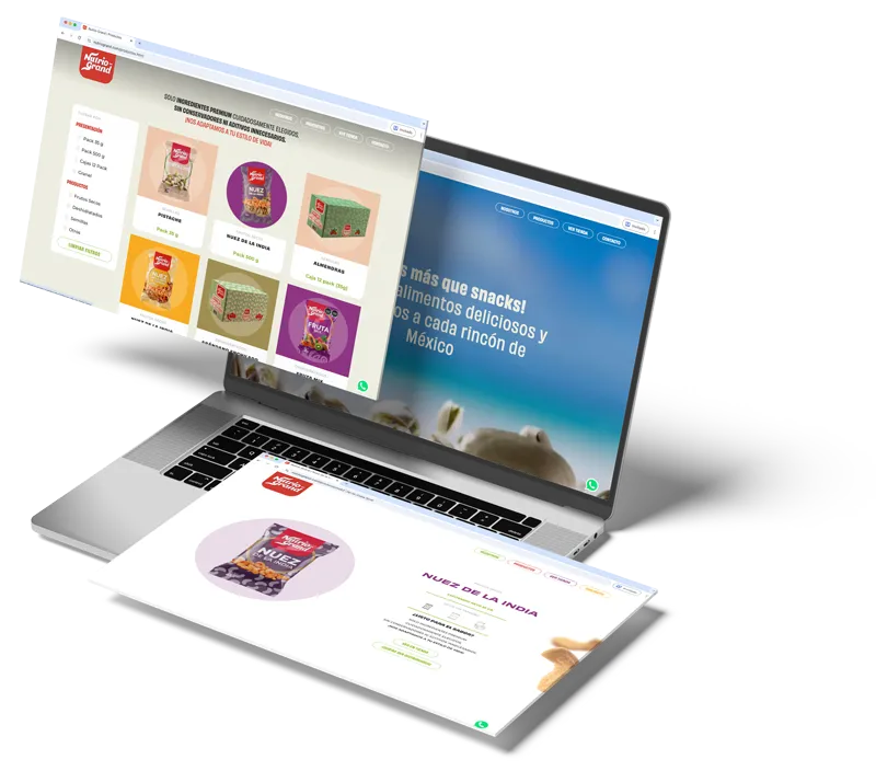 Diseño Web Profesional en Querétaro